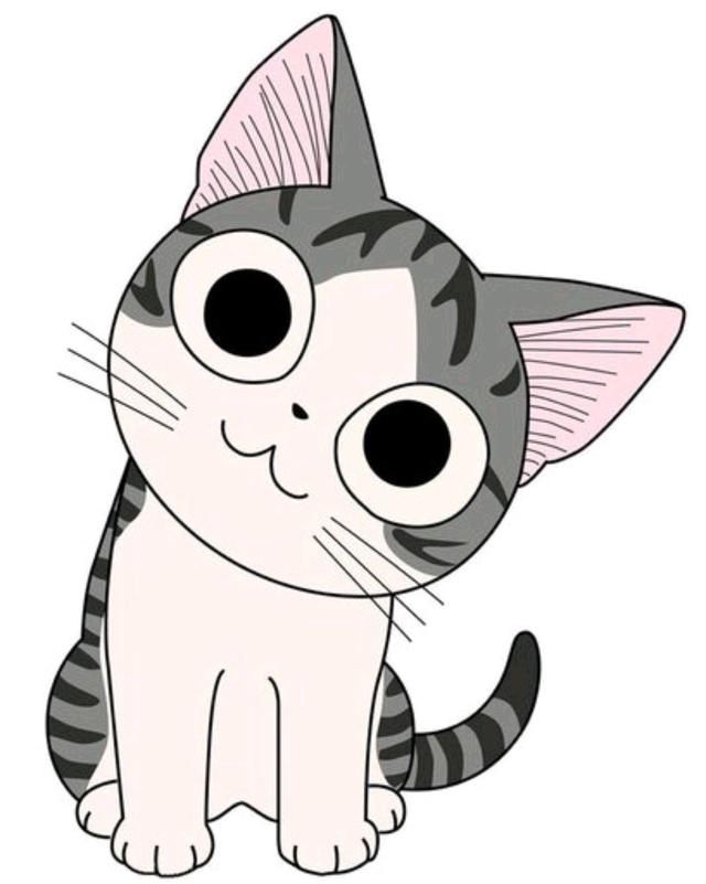 常见症状揭示：狗狗得禽流感的症状